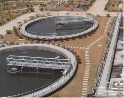 ZBXN型週邊傳動半橋虹吸式(shi)吸泥機